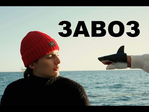 Видео: Секонд хенд патруль.  АКУЛЫ НА ЗАВОЗЕ PAUL & SHARK