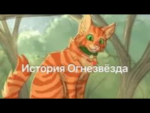 Видео: История Огнезвёзда(по просьбе _BapcuK_)/Коты-воители/1 часть