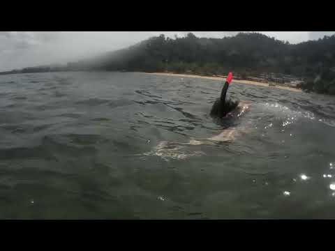 Видео: КАО ЛАК Пхукет, Таиланд  | KHAO LAK  - подводный мир без монтажа