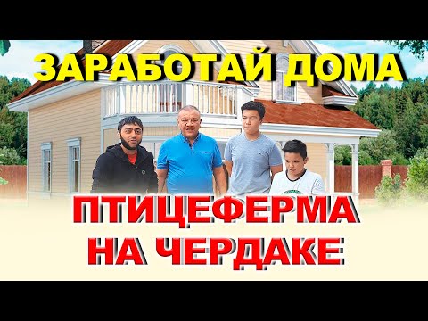 Видео: Птицеферма на чердаке /// декор лепнина