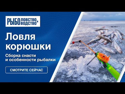 Видео: Ловля корюшки. Сборка снасти и особенности зимней рыбалки.