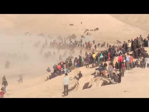 Видео: Буз каши дар Фархор Сурхоб 17 ноября 2024 г.