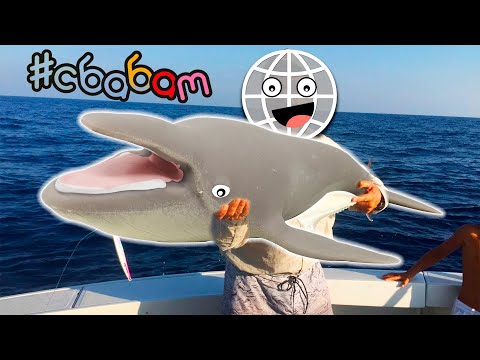 Видео: Закупыч на Средиземном море! ПОВЕЛИТЕЛИ СРЕДИЗЕМНОМОРЬЯ СбабАм