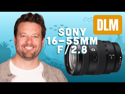 Видео: Sony 16-55mm f/2.8 G // Настройка подводного бокса Ikelite 200DLM