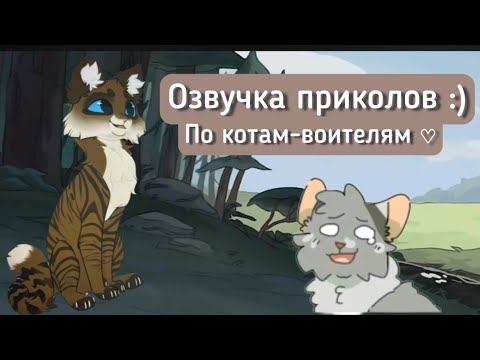 Видео: ° Озвучка приколов по КВ ° ♡ #котывоители #wcue #кв #приколыскотами :)