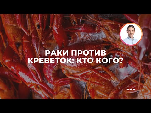 Видео: Раки против креветок: кто кого?