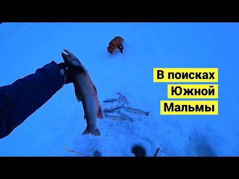 Видео: В поисках Южной Мальмы