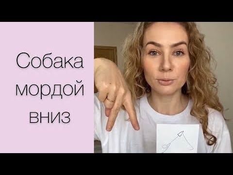 Видео: Поза «собака мордой вниз»