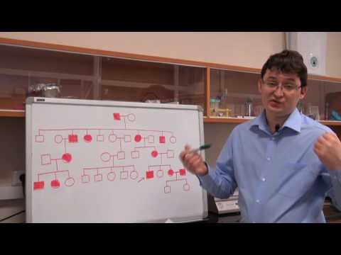 Видео: Анализ родословных. Урок 7. Задача 7.5 (быстрый разбор в конце видео)