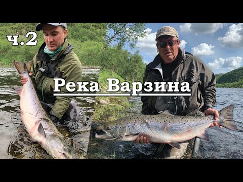 Видео: Рыбалка на кольском. Два трофея в один день. Ловля сёмги на реке Варзина.