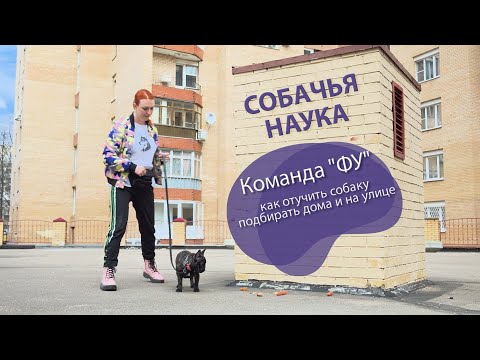 Видео: Дрессировка щенка: Команда "ФУ" или как отучить собаку подбирать дома и на улице.