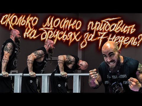 Видео: Сколько можно прибавить в отжиманиях на брусьях за 7 недель с нуля? Готовлюсь к двоеборью?