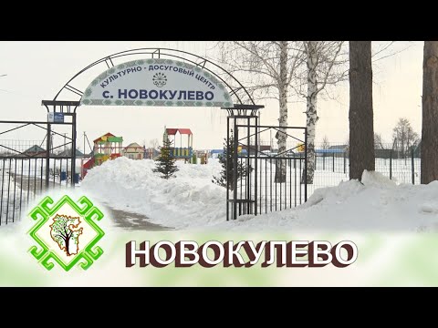 Видео: ТОРМОШ. Село Новокулево Нуримановский район