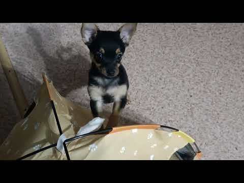 Видео: Было принято решение переехать вместе с квартирой.  Октябрь 2025.  28.10.2025