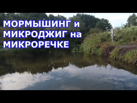 Видео: Мормышинг на Stinger Innova Ultralight-ST 592XUL. Микроджиг на DAYO Amulet 1,8м 0-3, 6 видов рыб.