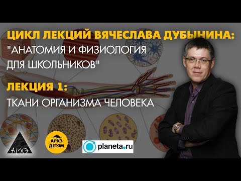 Видео: Вячеслав Дубынин: "Ткани организма человека." (Лекция 1)