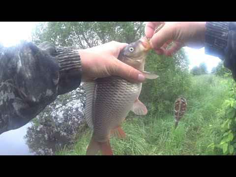 Видео: Рыбалка на платнике. Когда выползок круче кукурузы