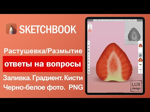 Видео: Sketchbook. Ответы на вопросы