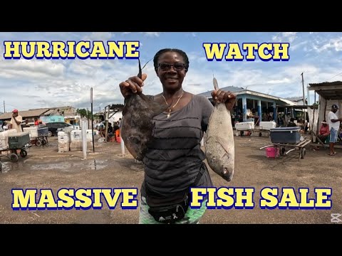 Видео: РАСПРОДАЖА РЫБЫ HURRICANE ПОЛНАЯ ПОДГОТОВКА В БУХТЕ ОЛД-ХАРБОР [Четверг, 23.10.2025] @cameronfami...