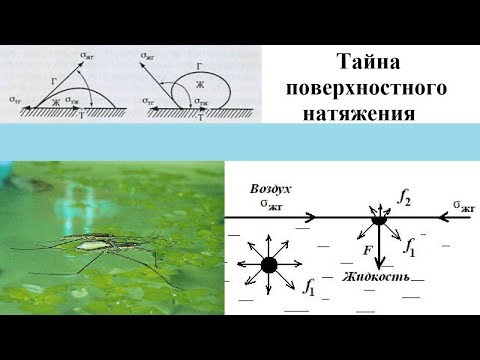 Видео: Тайна поверхностного натяжения
