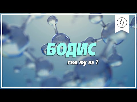 Видео: Бодис гэж юу вэ ?