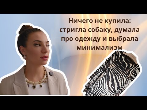 Видео: Ничего не купила: стригла собаку, думала про одежду и выбрала минимализм