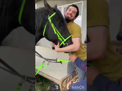 Видео: Поход Ауховских Всадников в гости к братьям из Бамматюрта