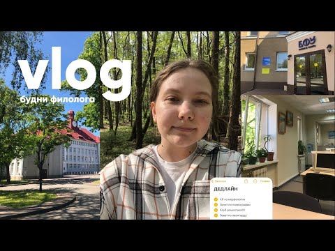 Видео: Конец Семестра | зачеты, курсовая работа или как я пытаюсь все успеть