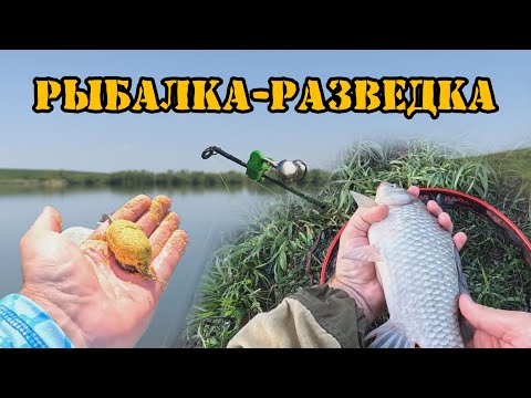 Видео: Рыбалка - разведка 🎣 Карась здесь точно есть! Донка и флэт  #рыбалка2025 #fishing #feeder #карась