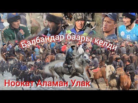 Видео: Ноокат  Кара койдогу  Аламан Улак Балбандар  баары  Жыйналды