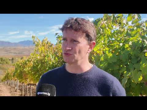 Видео: Франц Димитров - винарна Капатово