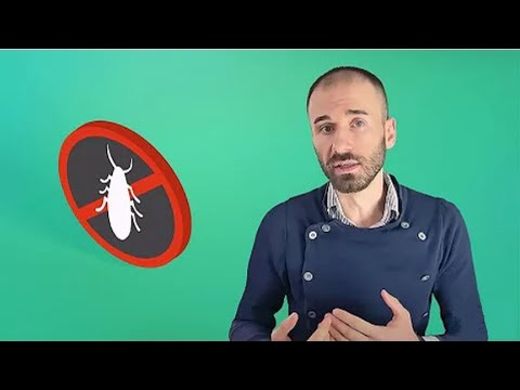 Видео: Нестор. Как влиять на власть? Перезалив
