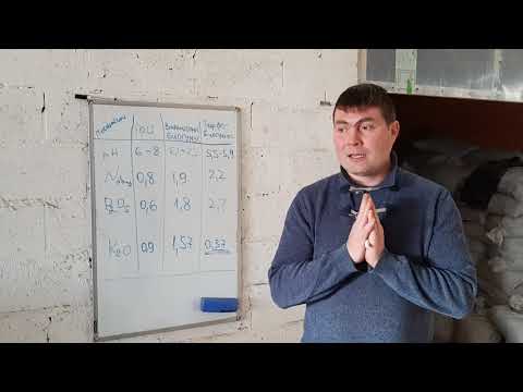 Видео: Сравнение биогумуса из торфа и навоза