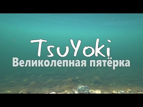 Видео: Underwater video TsuYoki Великолепная пятёрка! Реальная рыбалка