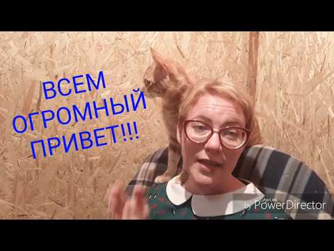 Видео: КЕТО - НЕДЕЛЯ!!!. ДНЕВНИК ПИТАНИЯ.