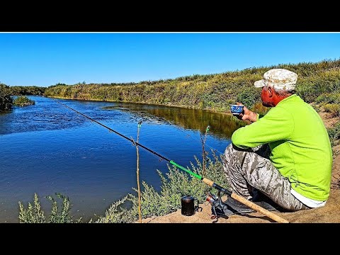 Видео: НА РЫБАЛКУ С НОЧЁВКОЙ .РАЗВЕДАЛ НОВОЕ ДИКОЕ МЕСТО.