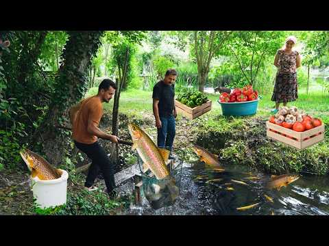 Видео: Рыбоводство, кулинария и садоводство в Азербайджане | 1 час наших САМЫХ ПРОСМОТРИМЫХ видео!