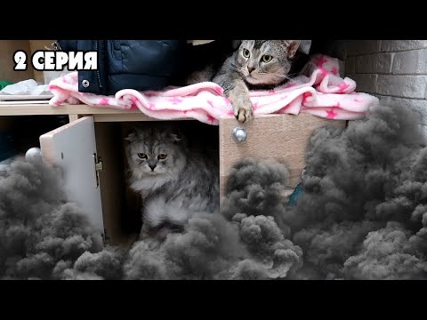 Видео: КОШАЧЬЯ ИСТОРИЯ УЖАСОВ 2 СЕРИЯ | КТО В НАШЕМ ДОМЕ?