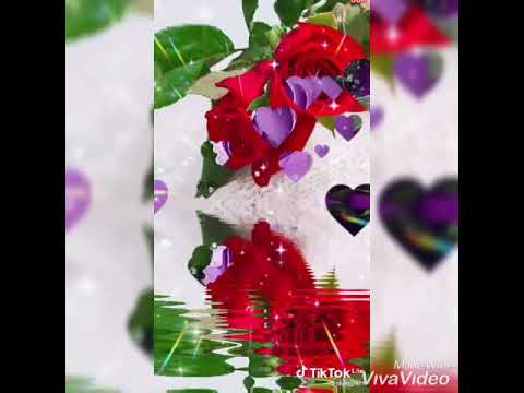 Видео: Кеше гомере