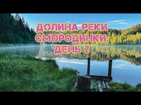 Видео: В поисках укрытия в грозу. Бушкрафтим в лесу | Озеро Смородинкое | День 2