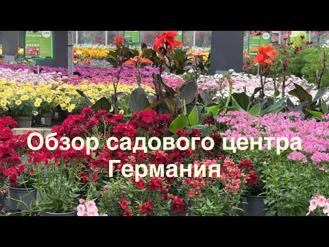 Видео: Грациозные силуэты в саду: цветы для лёгкости и ритма 🌿 Садовый центр OTTEN 🌿