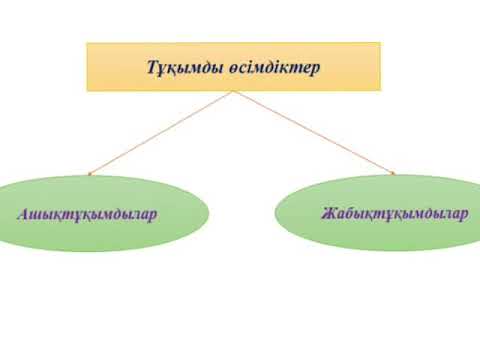 Видео: Ашықтұқымдылар