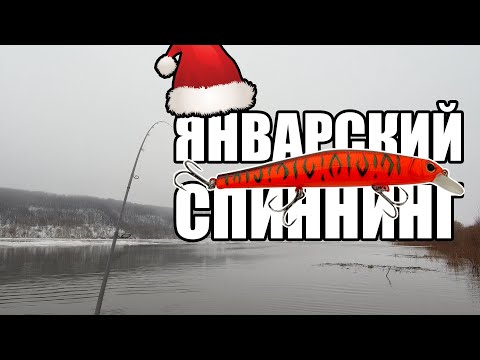 Видео: Спиннинг в середине зимы! Ловля на Оке в январе! Открытие сезона жидкой воды 2025!