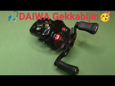 Видео: DAIWA Gekkabijin обзор на столе