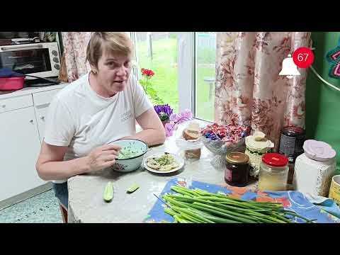 Видео: Выкопали, а потом посадили.