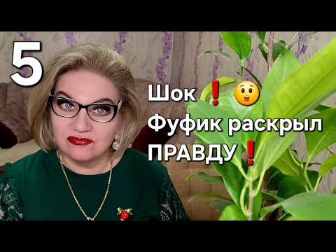 Видео: ШОК❗️ 😲 Фуфик раскрыл ПРАВДУ❗️