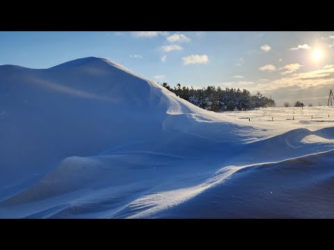 Видео: В снежном плену. Часть 1-ая.