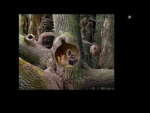 Видео: игра Samorost 1 (Саморост) Прохождение