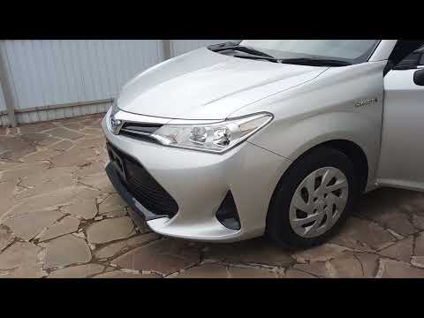 Видео: Минусы Toyota Corolla Fielder 2019