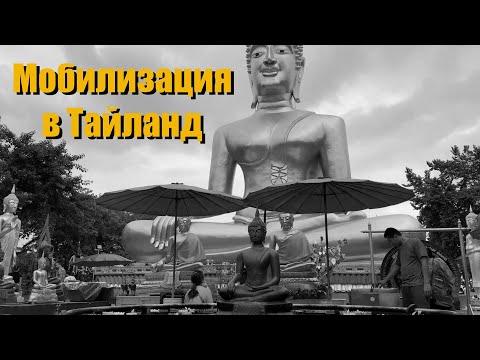 Видео: ЖИЗНЬ В ПАТТАЙЕ | ЦЕНЫ НА ЖИЛЬЕ | ХРАМ БУДДЫ | ОБЗОР ЦЕН НА ЕДУ | ВЛОГ #1 ТАЙЛАНД 2022